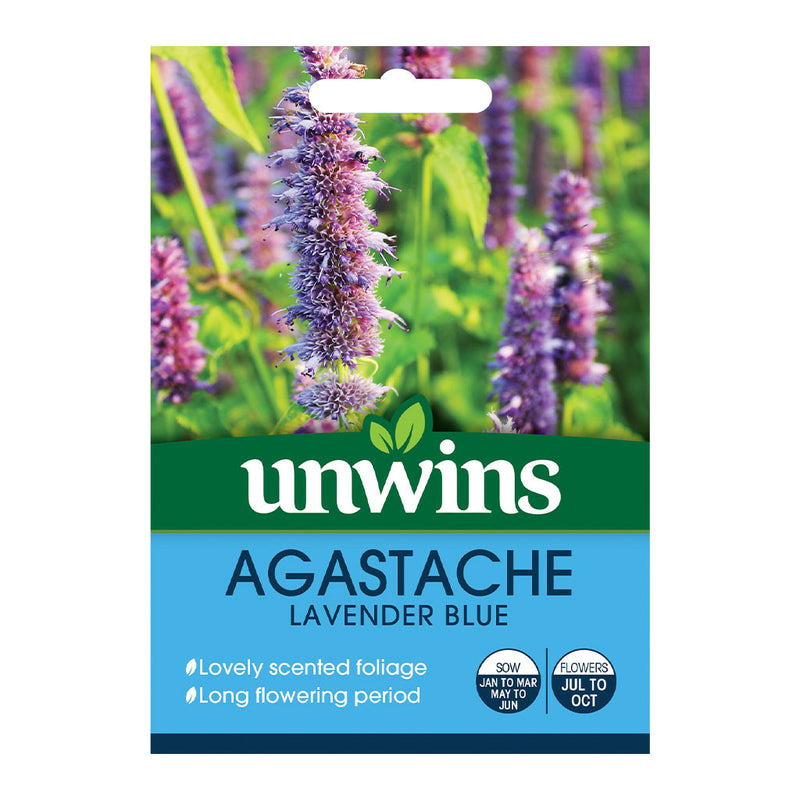 Unwins Agastache Lavender Blue Seeds