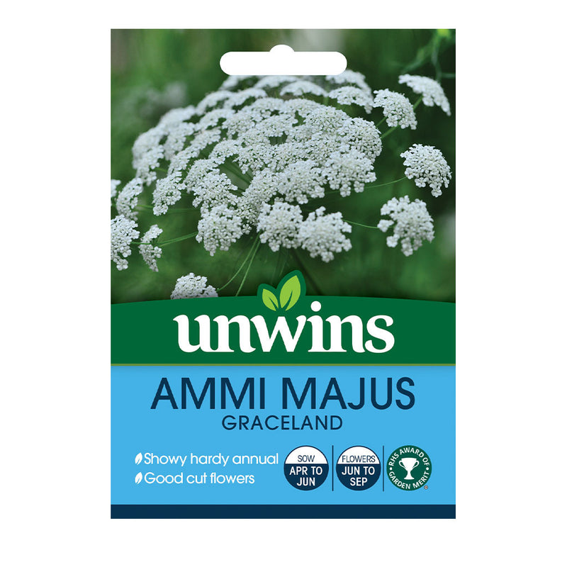 Unwins Ammi Majus Graceland Seeds