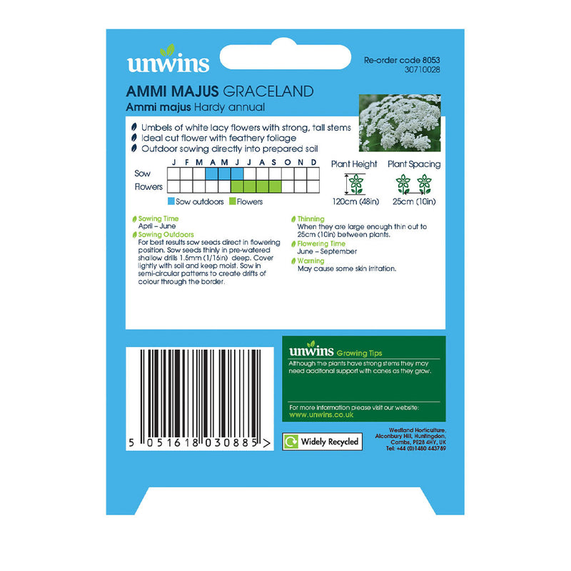 Unwins Ammi Majus Graceland Seeds