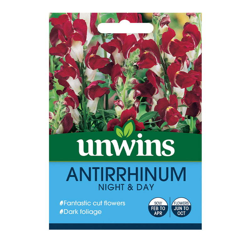 Unwins Antirrhinum Night and Day Seeds