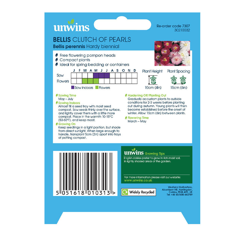 Unwins Bellis Clutch of Pearls Seeds