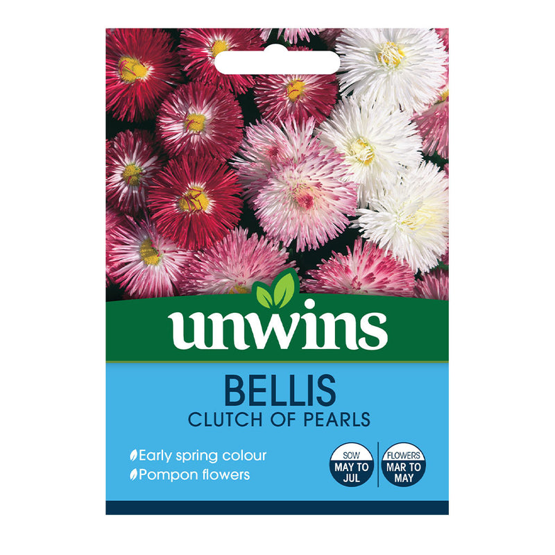 Unwins Bellis Clutch of Pearls Seeds