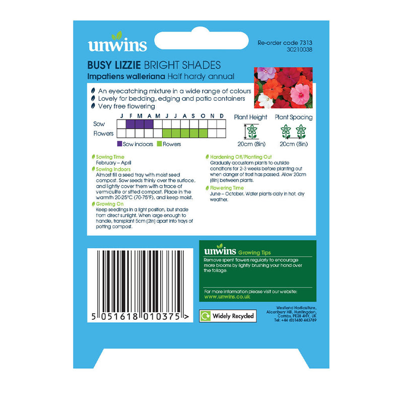 Unwins Busy Lizzie Bright Shades Seeds