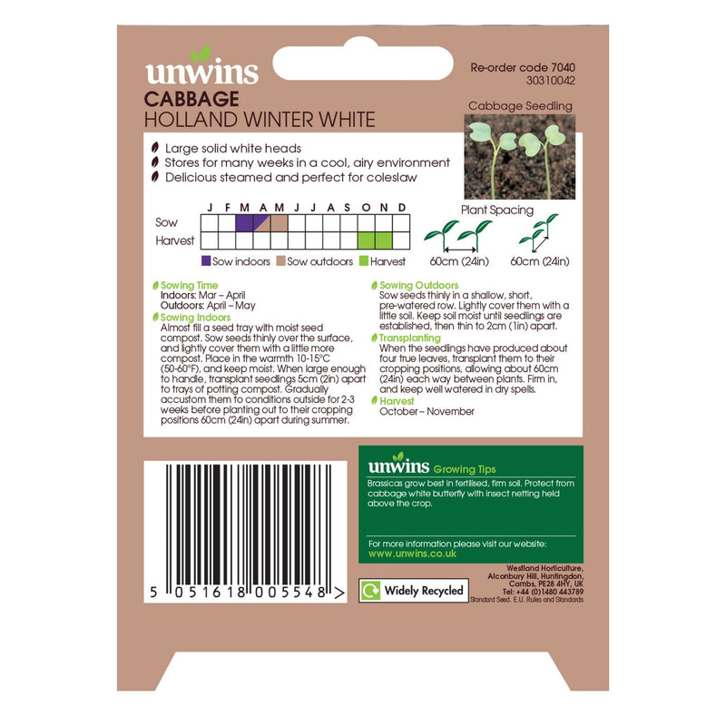 Unwins Cabbage Holland Winter White Seeds