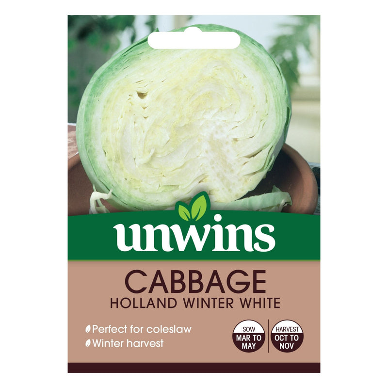 Unwins Cabbage Holland Winter White Seeds