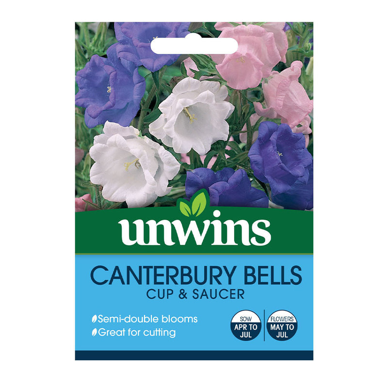 Unwins Canterbury Bells Cup and Saucer Seeds