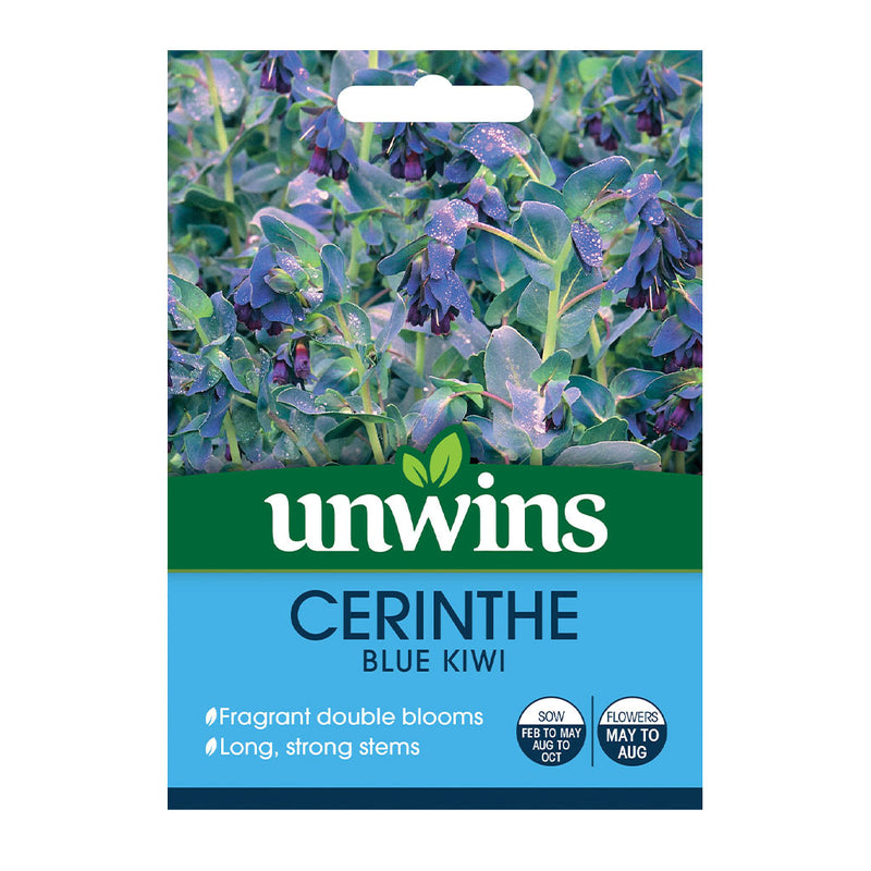 Unwins Cerinthe Blue Kiwi Seeds