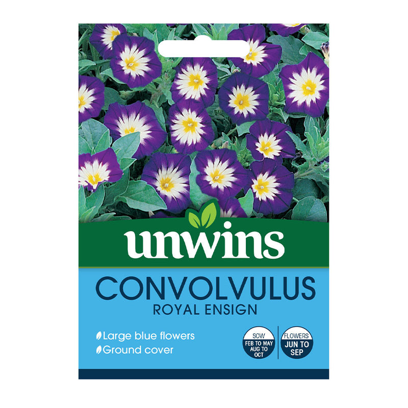 Unwins Convolvulus Royal Ensign Seeds