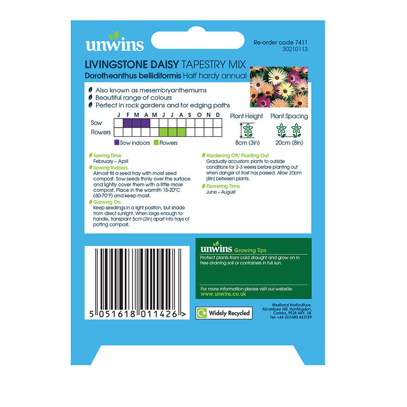 Unwins Livingstone Daisy Tapestry Mix Seeds