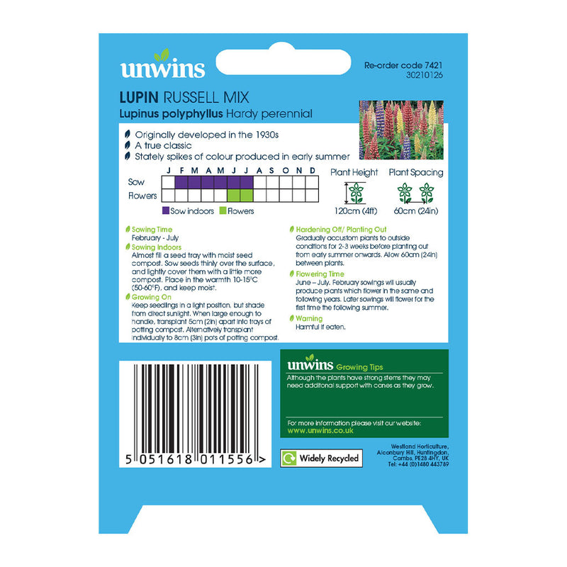 Unwins Lupin Russell Mix Seeds