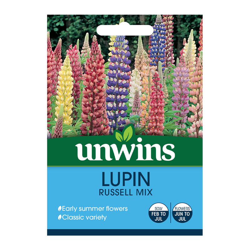 Unwins Lupin Russell Mix Seeds