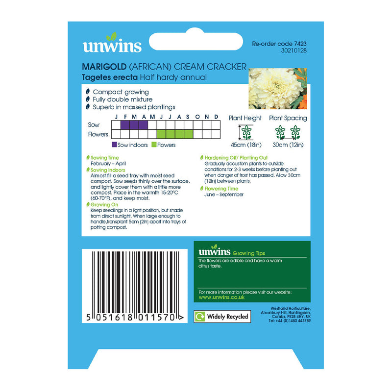 Unwins Marigold African Cream Cracker Seeds