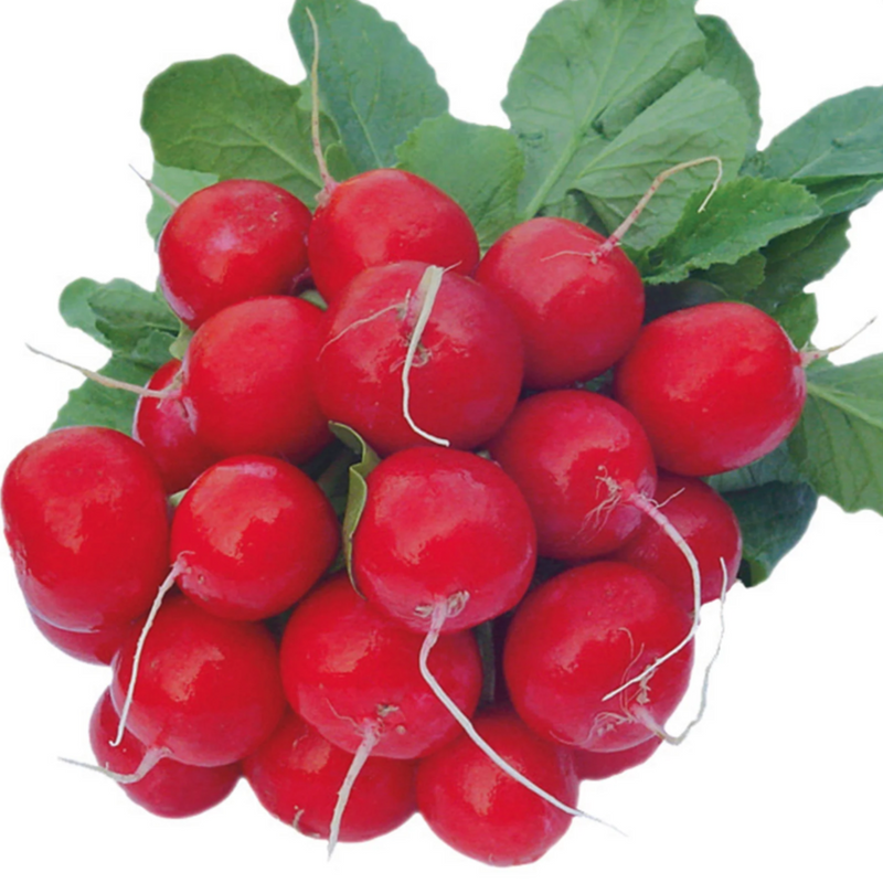 Unwins Radish Celesta Seeds