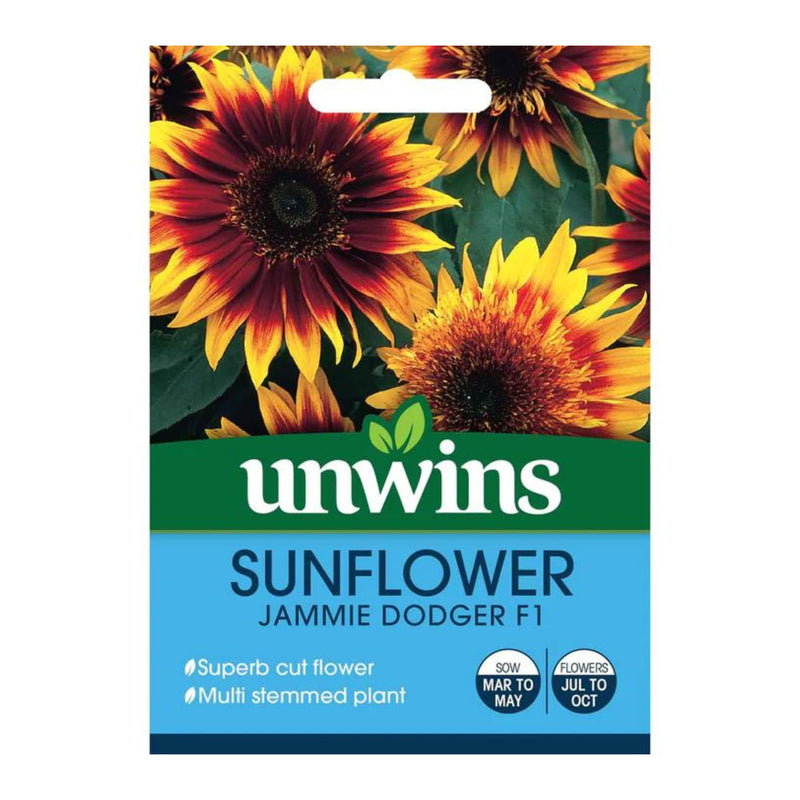 Unwins Sunflower Jammie Dodger F1 Seeds